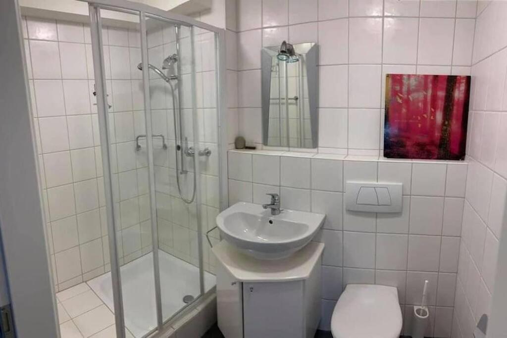 Basel - 5 Mins Away - Modern Basement Studio With Kitchen 35M2 In Muttenz Exterior photo